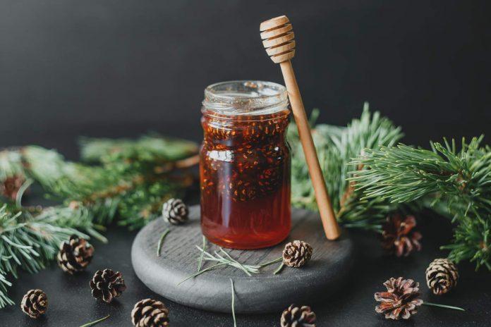 Dżem z szyszek sosny