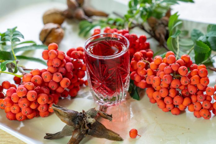 Jak zrobić jarzębinówkę